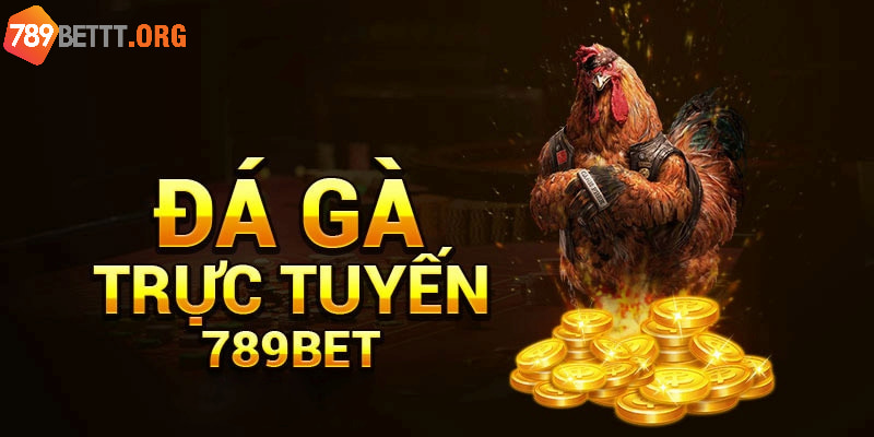 Đá gà 789Bet là sảnh cược đang rất được ưa chuộng tại nhà cái